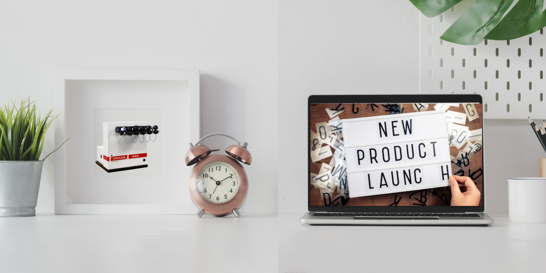 Product Launch