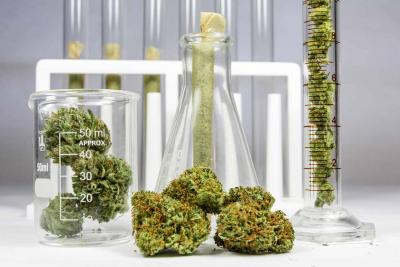 Whitepaper: Cannabis series Whitepaper: Cannabis series